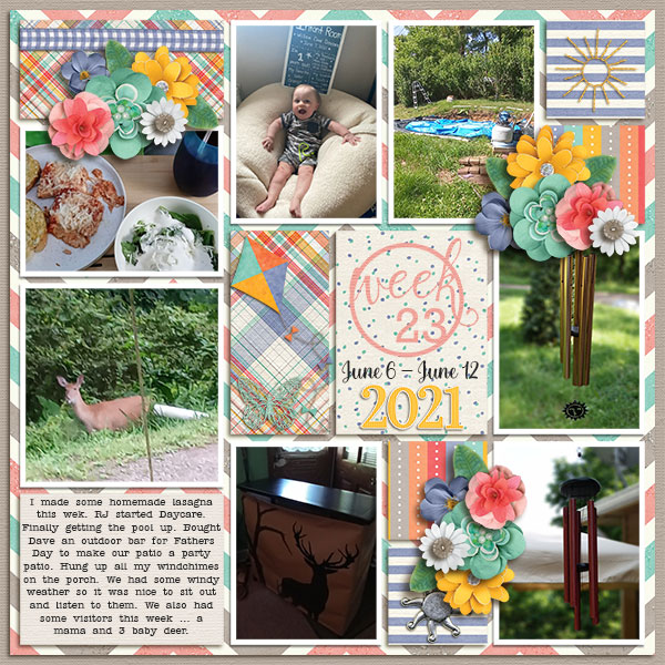 Week 23