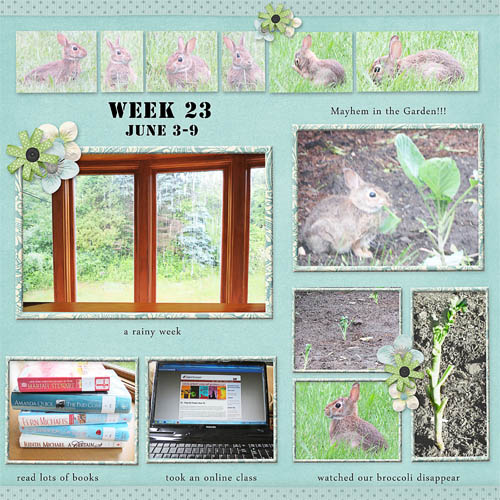 Week 23