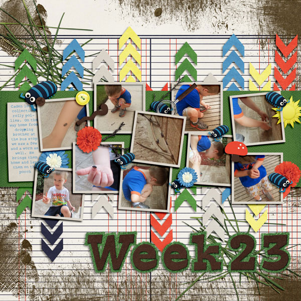 Week 23a