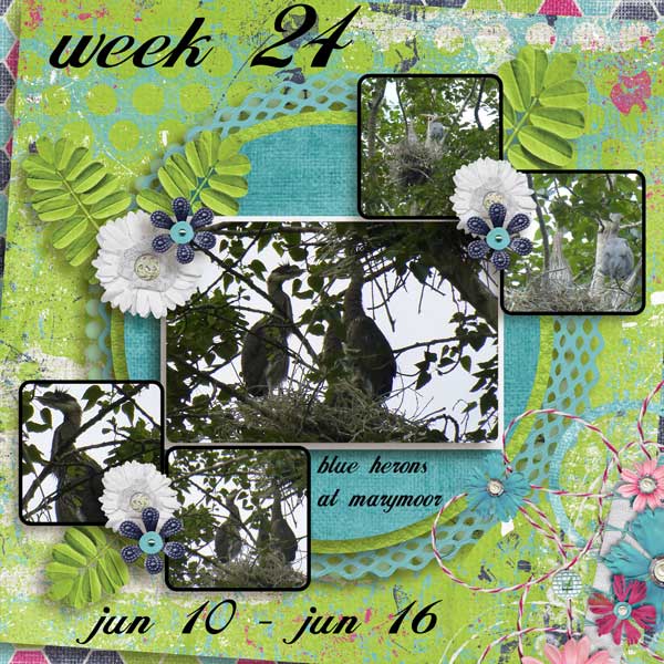 week-24-2013