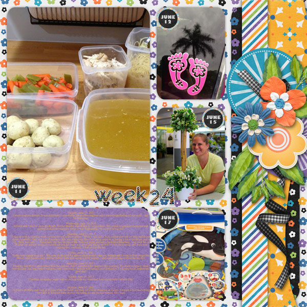week 24