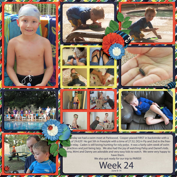 Week 24