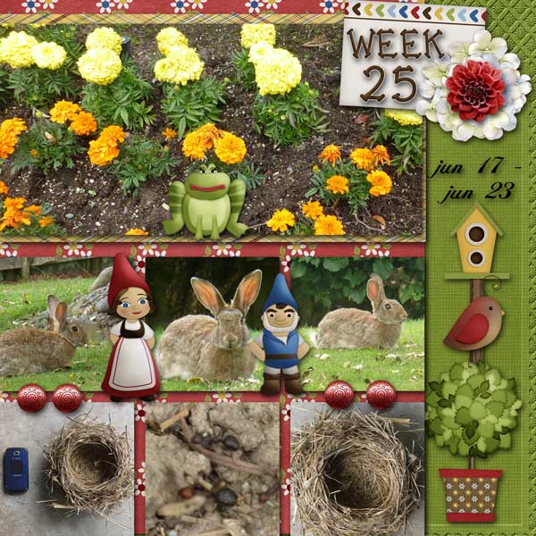 week-25-2013