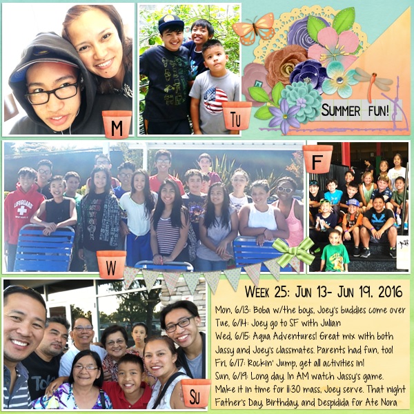 Week 25: Jun 13- Jun 19, 2016