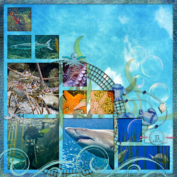 week 26- Under the Sea R