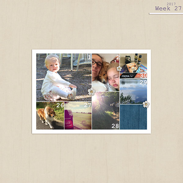 Week 27 - 2017