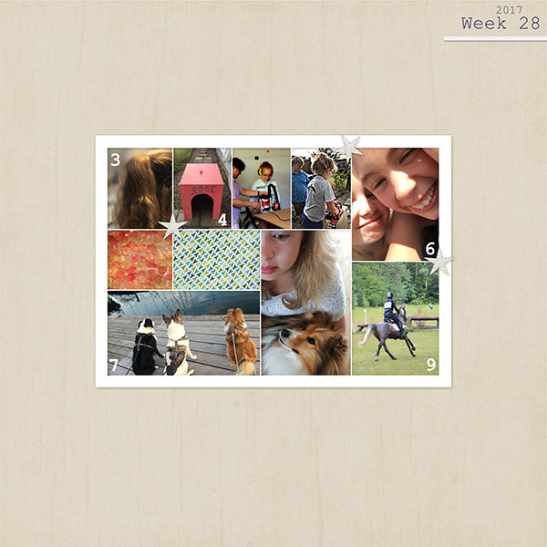 Week 28, 2017