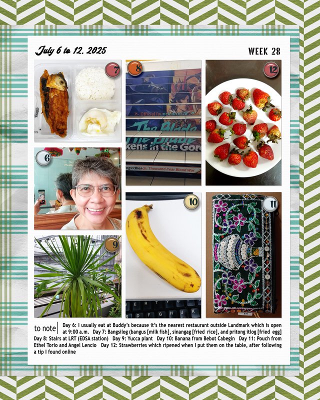 week 28