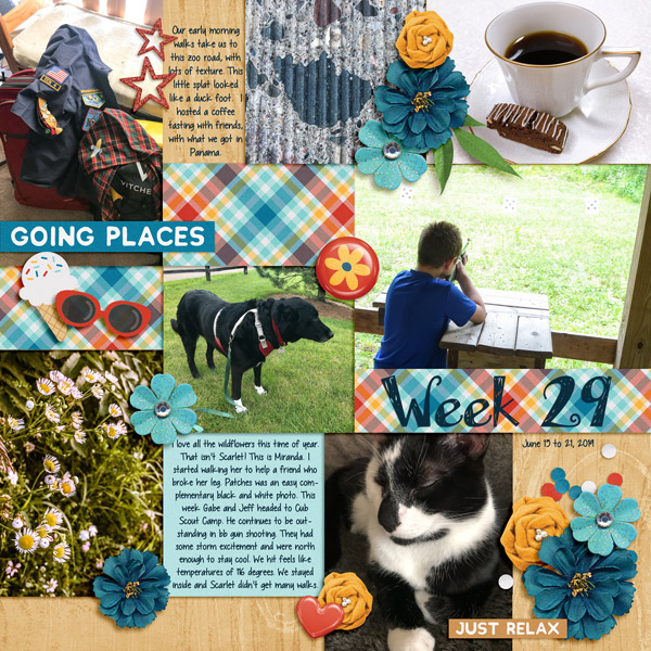 Week 29, 2019