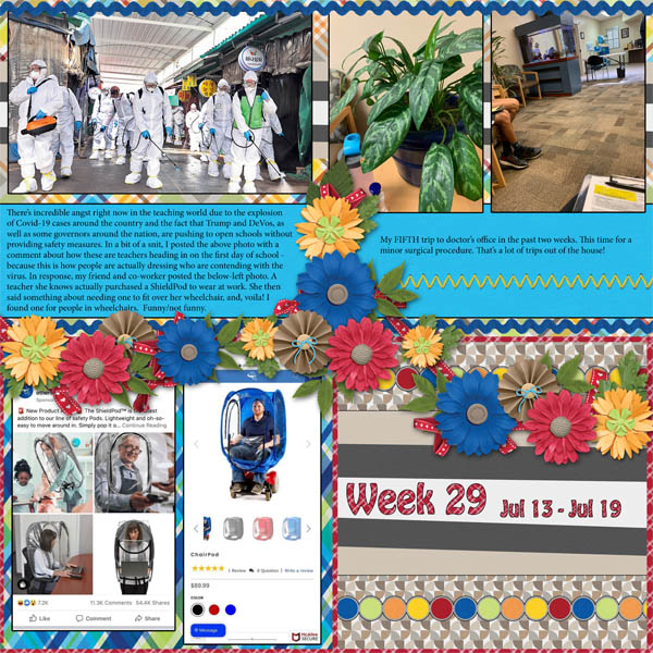 Week 29 of 52