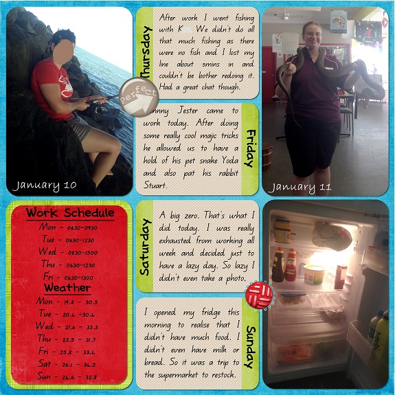 Week 2b 2013