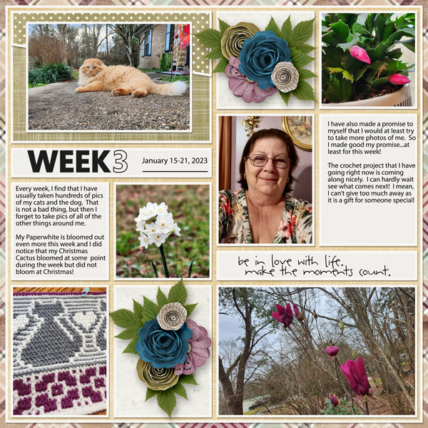 Week 3  January 15 - 21