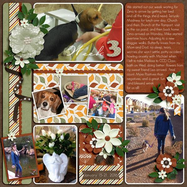Week 3 Project 52