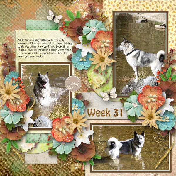 Week 31 2022