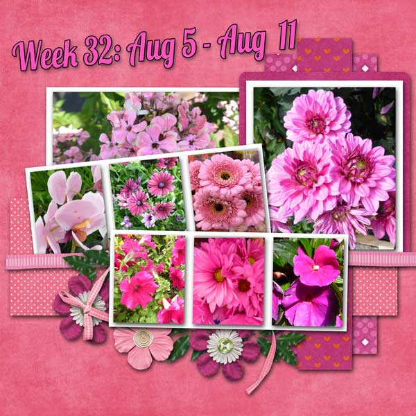 week-32-2013