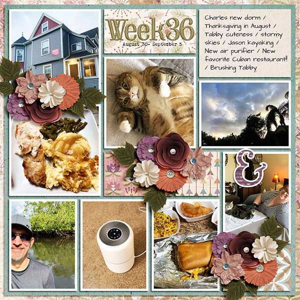 Week 36 2021 PL