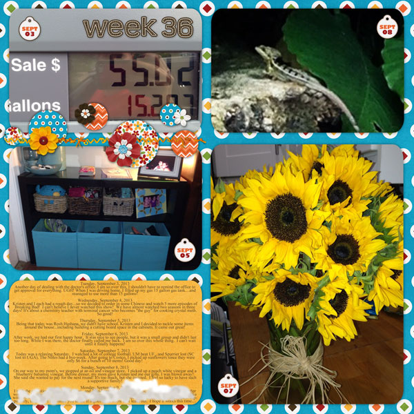 Week 36