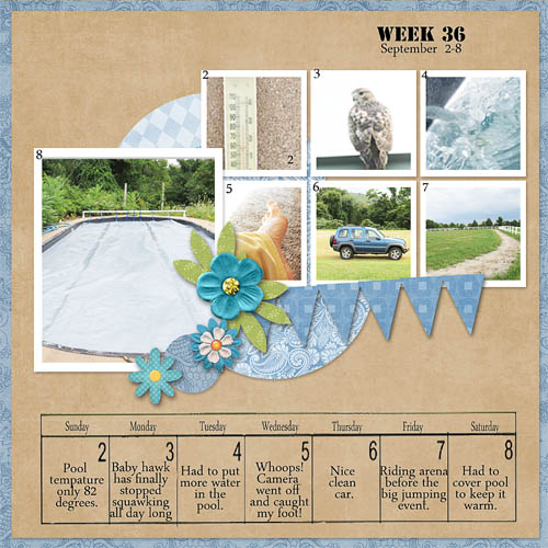Week 36