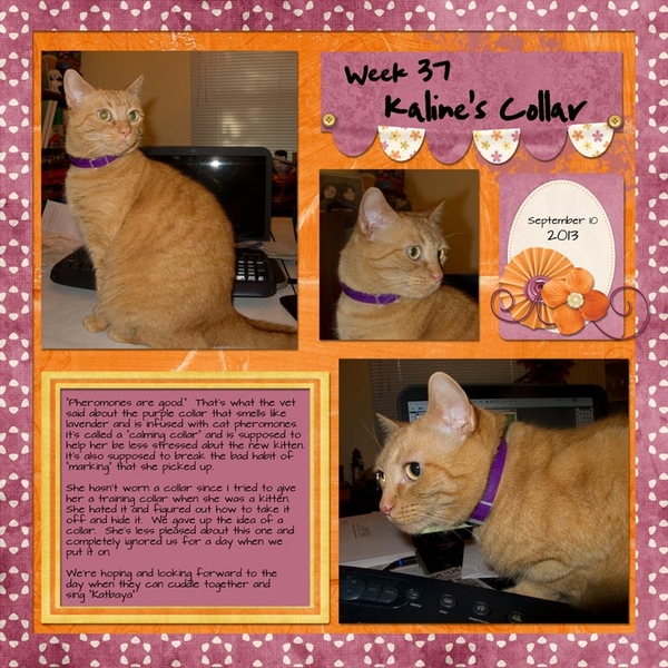 Week 37; Kaline's Collar