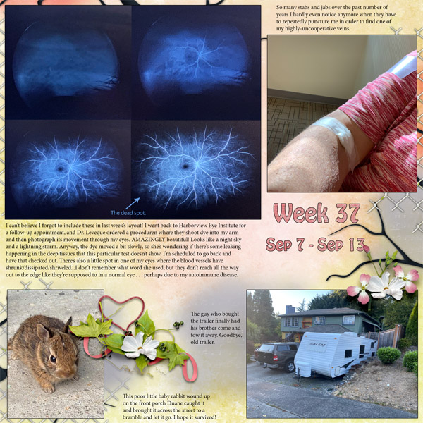 Week 37 of 52