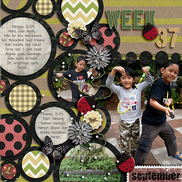 Week 37