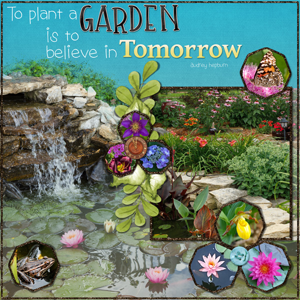 Week-4-my-sanctuary-is-my-garden