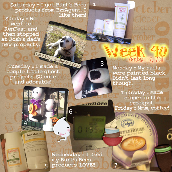 Week 40/52 {2011}