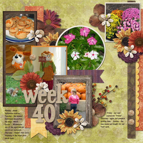 Week 40
