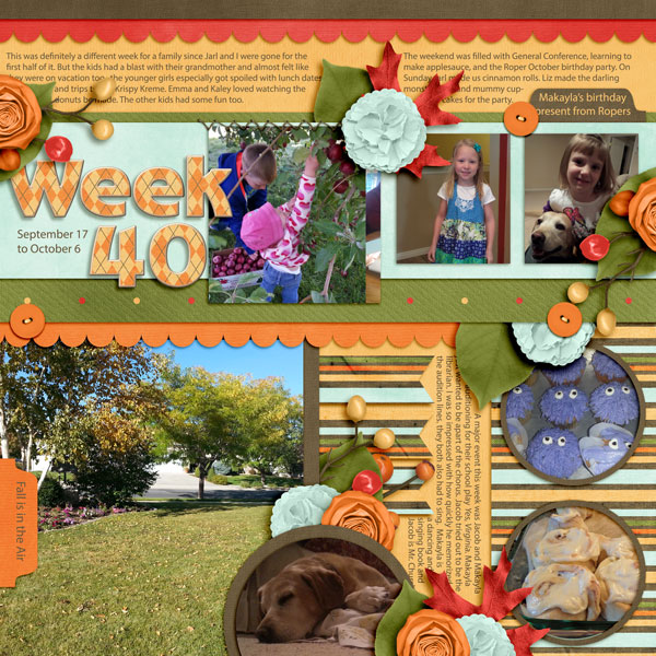 Week 40