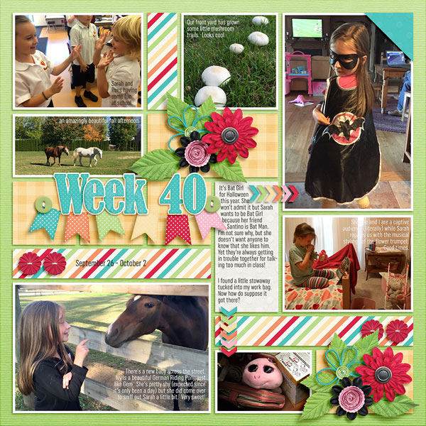 Week 40