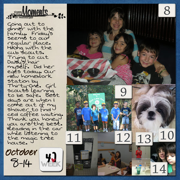 week 41