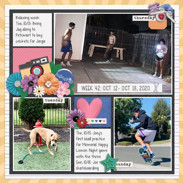 Week 42 {2020}