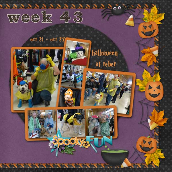 week-43-2013