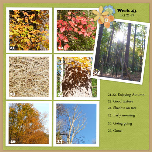 Week 43