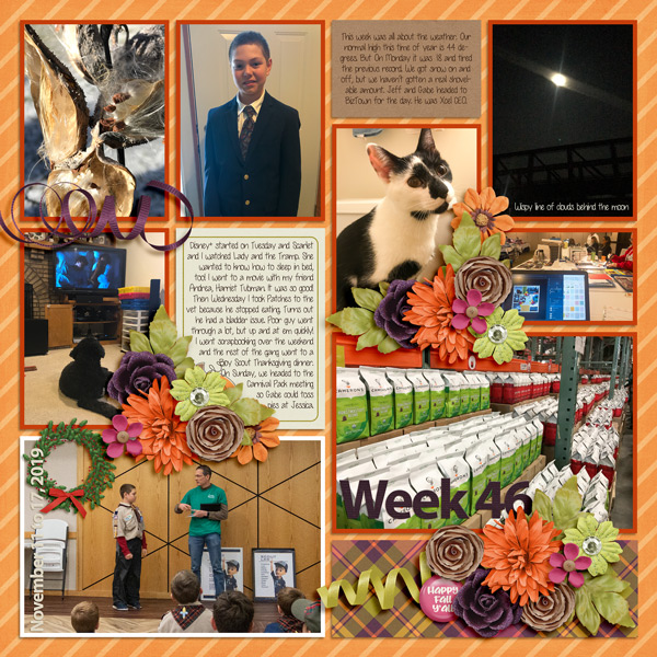 Week 46, 2019