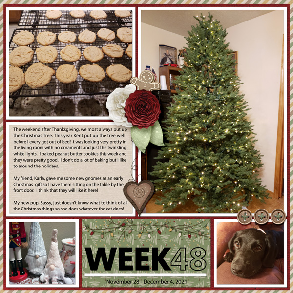 Week 48