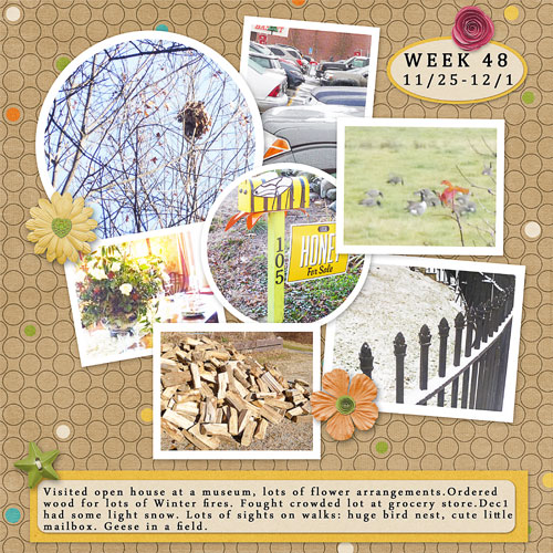 Week 48