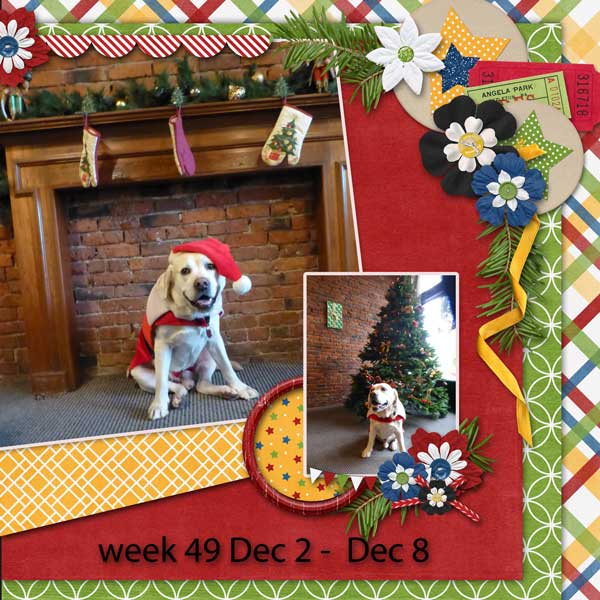 week-49-2013