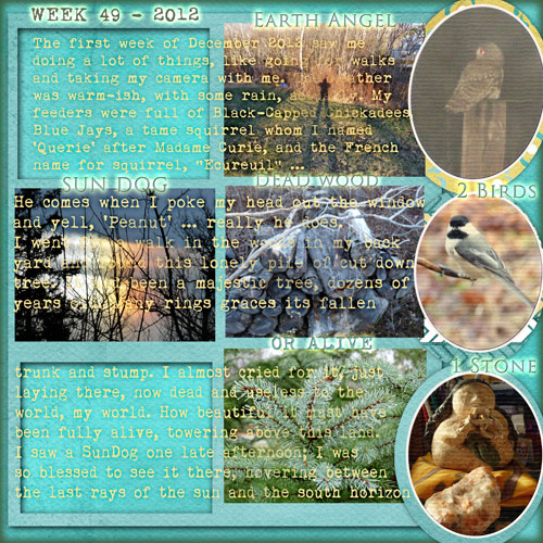 Week 49 In My World