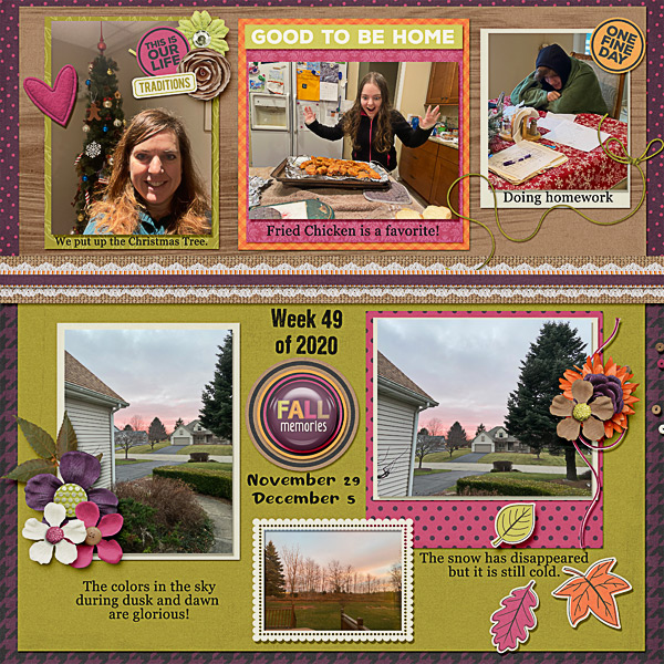 Week 49 of 2020:   Focus on family and weather