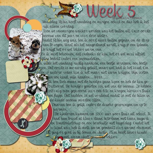 Week 5-2