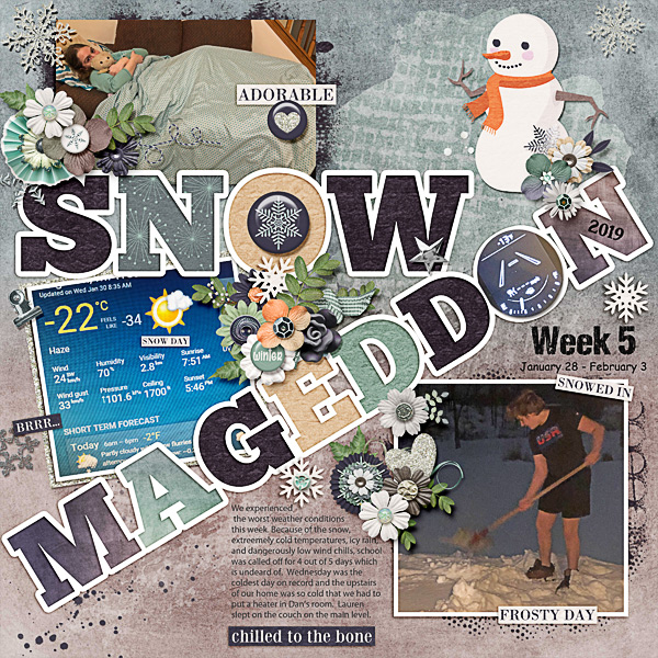 Week 5:  Snow Mageddon