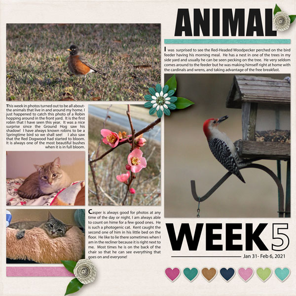 Week 5