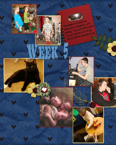 week 5