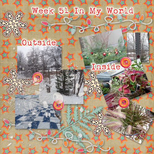 Week 51 In My World