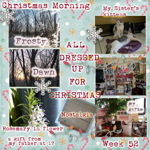 Week 52 In My World