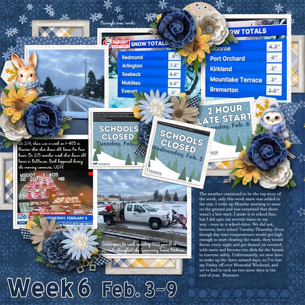 Week 6 1