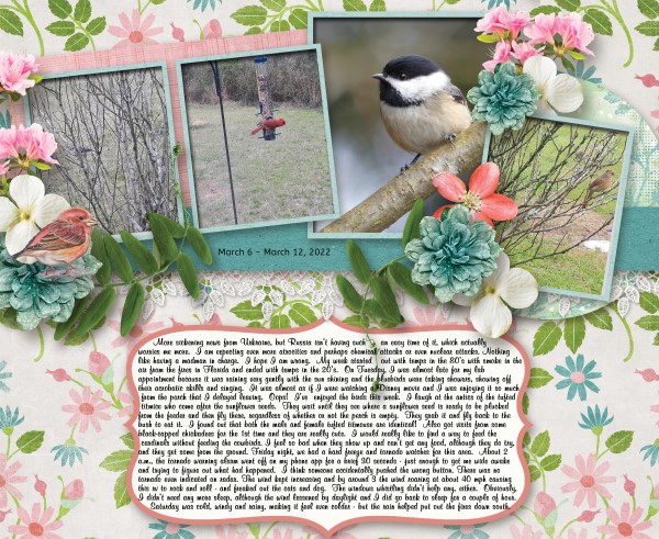 Week 6 - 12 March 2022