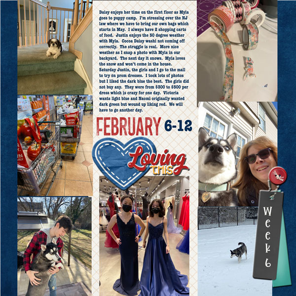 Week 6 - Feb 6-12 2022