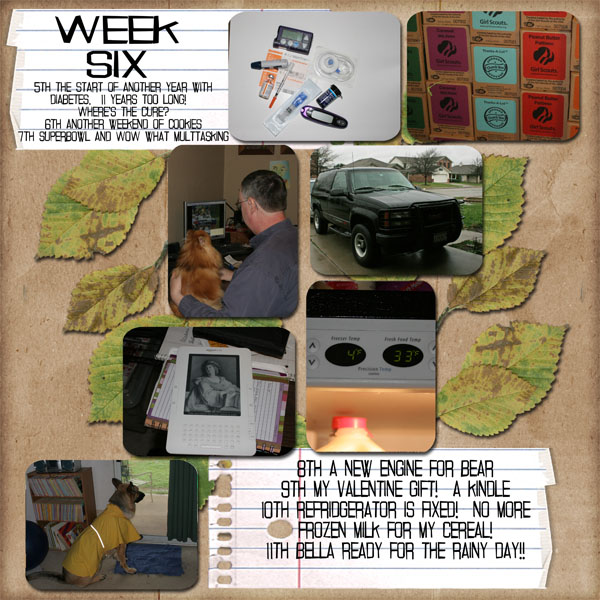 Week 6
